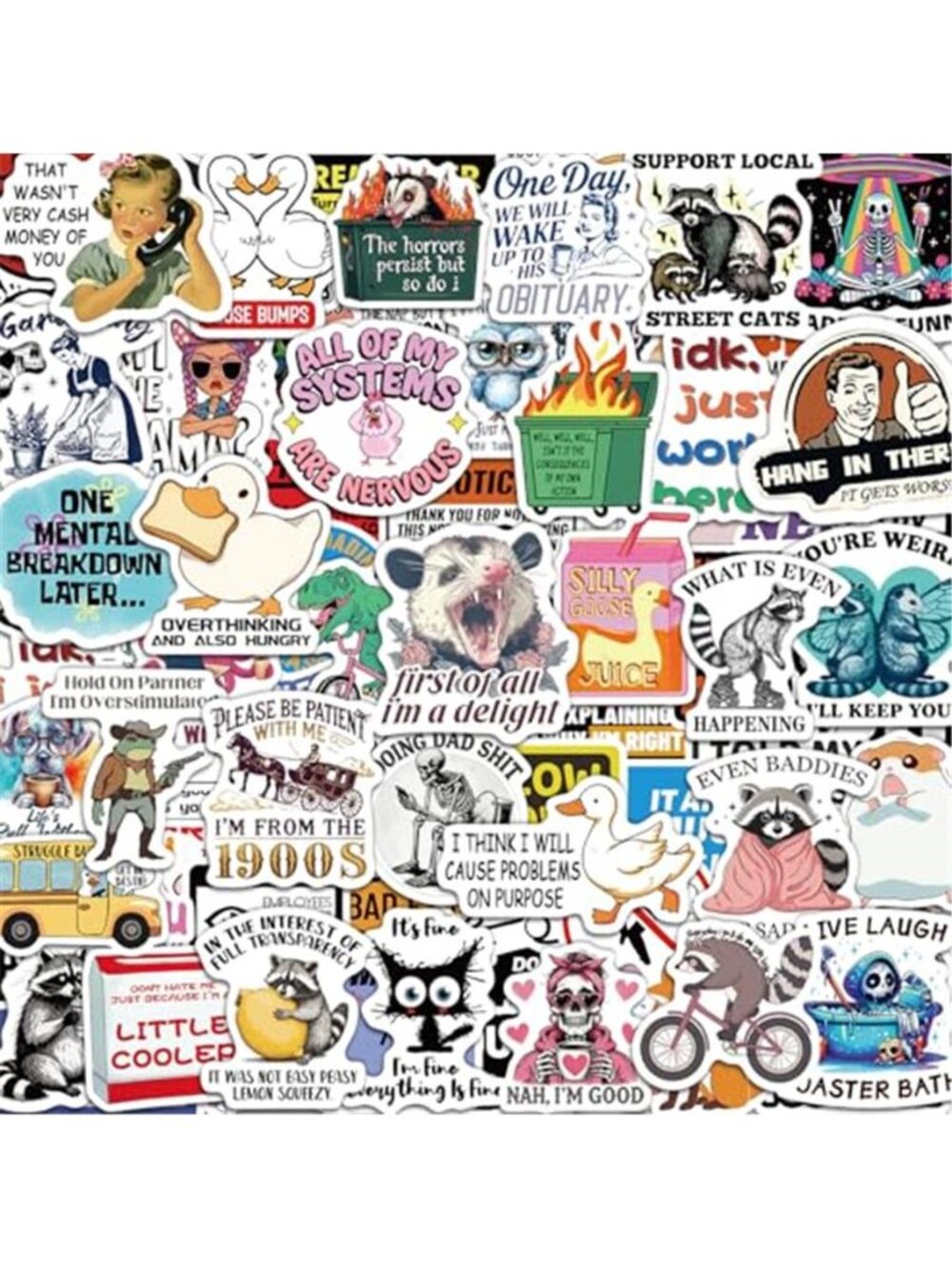 300 Pcs Funny Stickers for Adults, Sticker Pack for Water Bottle Laptop